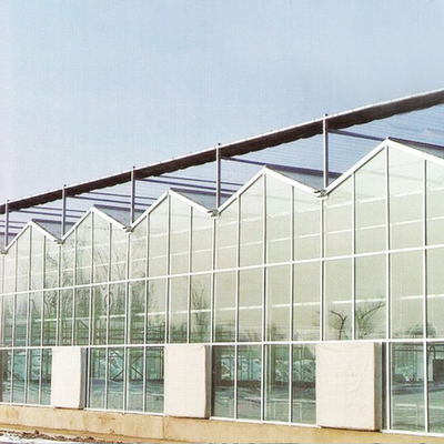 Il vetro temperato Venlo riveste il sistema di pannelli automatico di Europa della serra della struttura d'acciaio