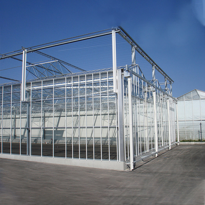 Serra automatizzata della parete di vetro di coltura idroponica della pianta per la fragola del pomodoro