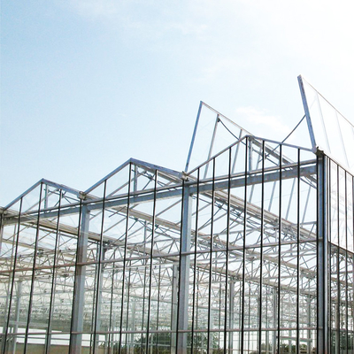La coltura idroponica di verdure Venlo ha temperato la serra di vetro Multispan per la crescita del pomodoro