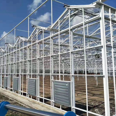 L'alto tipo forte multi vetro commerciale di Venlo della portata della serra ha coperto
