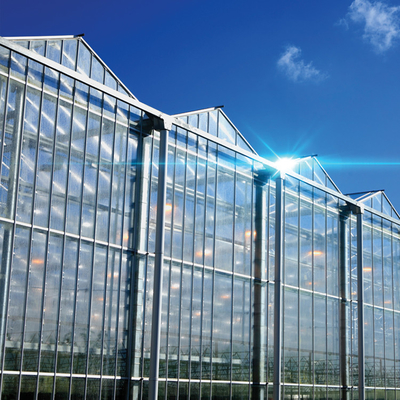 Vetro in policarbonato a cartone cavo vetro industriale per esterni vetro multispan vetro professionale serra olandese per la piantagione di fiori