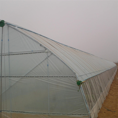 Conservazione di calore della serra della portata del tunnel del film plastico singola per il pomodoro di inverno