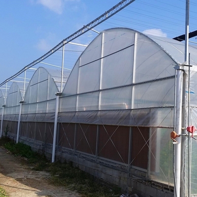 Serra trasparente della portata da 200 micron di Coverd del grande film plastico di Agroculture multi