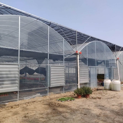Serra trasparente della portata da 200 micron di Coverd del grande film plastico di Agroculture multi