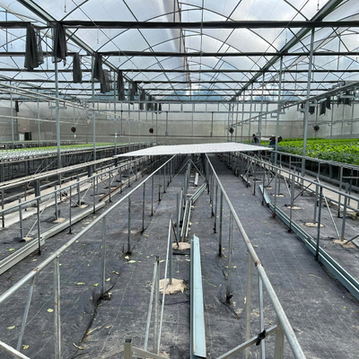 Multi supporto trasparente di plastica della finestra laterale di agricoltura della serra della portata