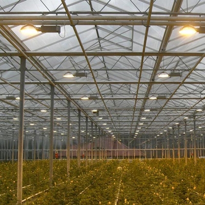 Alta serra dello strato del policarbonato del sistema di automazione di Venlo del tunnel per la crescita delle piante