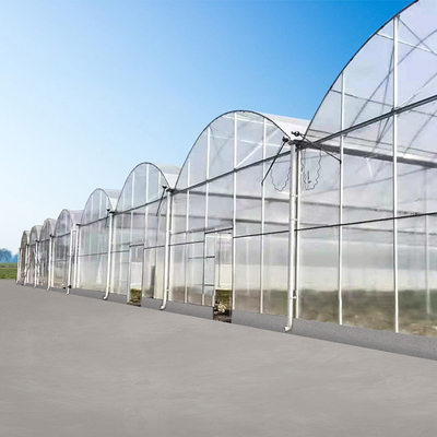 Il policarbonato agricolo di Multispan dell'azienda agricola riveste la serra di pannelli con l'ombreggiatura del sistema