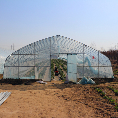 Agricoltura che coltiva la serra crescente del film plastico del tunnel per la crescita del pepe