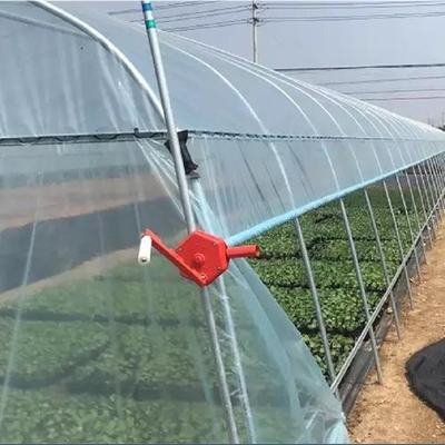 Singola serra del film plastico del tunnel di agricoltura per la fragola che pianta crescita
