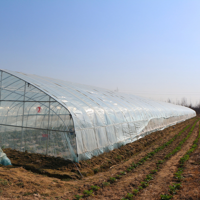Serra di plastica del tunnel cinese all'aperto dell'arco trasparente per coltivazione