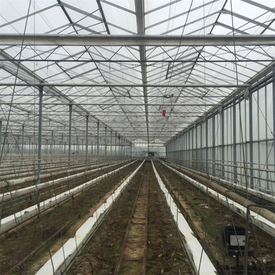 Serra di vetro temperata isolata di Venlo di luce solare della serra per orticoltura