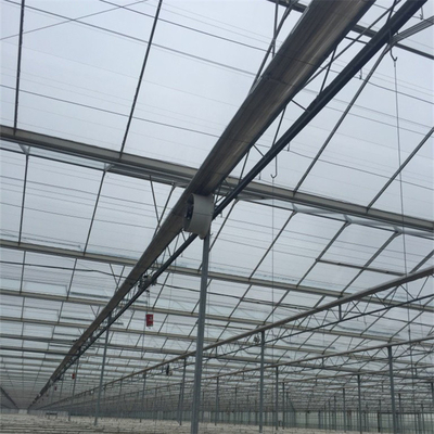 Serra di vetro temperata isolata di Venlo di luce solare della serra per orticoltura