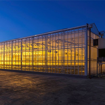 Vetro in policarbonato a cartone cavo vetro industriale per esterni vetro multispan vetro professionale serra olandese per la piantagione di fiori