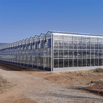 Serra di vetro automatica di Venlo della multi portata di agricoltura per l'orticoltura