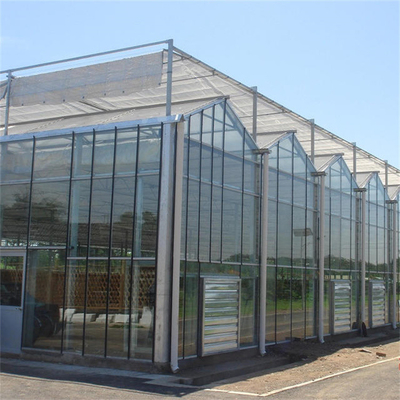 Tipo di vetro temperato serra Multispan di Venlo del pannello per le verdure idroponiche