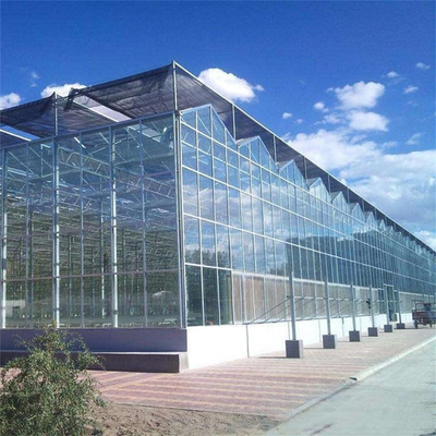 Serra di vetro di Venlo della multi portata con il semenzaio idroponico per la fragola del pomodoro