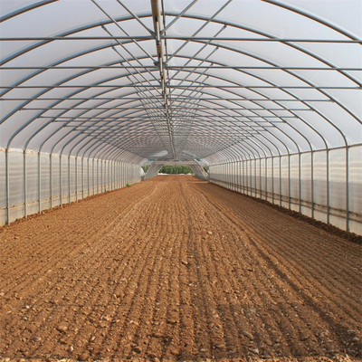 Tunnel di singola della portata di orticoltura alto agricoltura della serra per le piantine