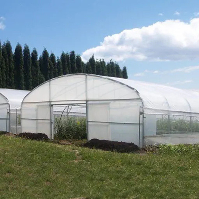 Singola serra del tunnel del film plastico della portata per la crescita agricola delle piante