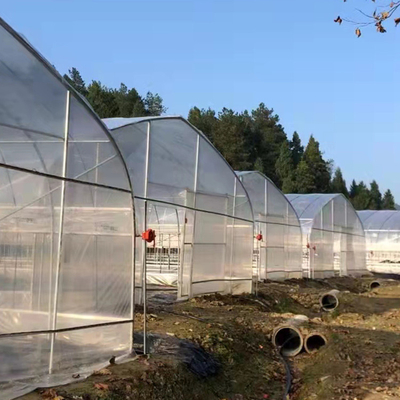 Singola serra del tunnel del film plastico della portata per la crescita agricola delle piante