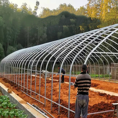 Singolo tunnel della portata che coltiva la serra matrice del film plastico di Sun agricolo