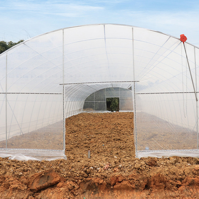 Alto tunnel della singola della portata del metallo della struttura tettoia di plastica tropicale della serra trasparente