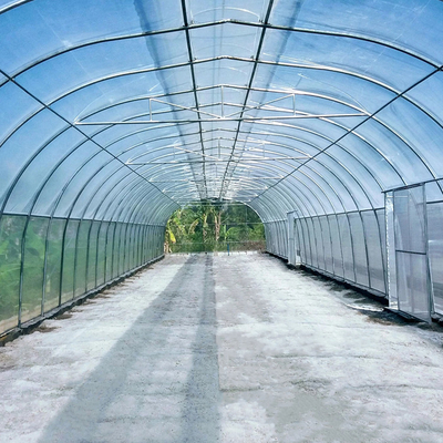 Serra dello sfiato della tettoia del tunnel della singola portata di agricoltura singola per area calda
