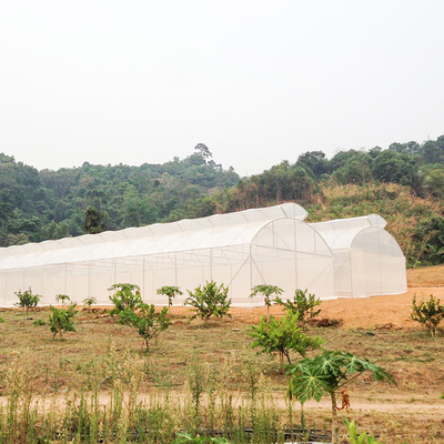 Singola serra della portata dello sfiato del multi ombrello automatico superiore del tunnel per la piantatura del pomodoro