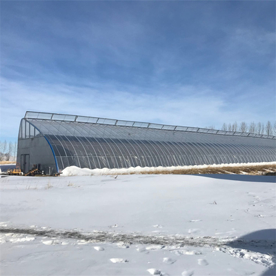 Tunnel del film plastico solare passivo della serra di inverno di area fredda singolo