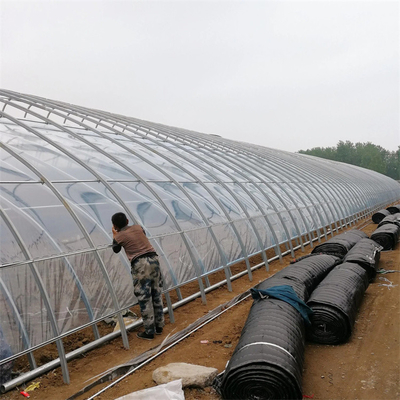 Serra solare passiva galvanizzata calda del tubo d'acciaio della trapunta calda per le verdure