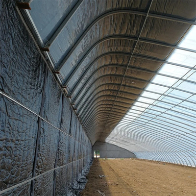 Portata della serra solare passiva del tunnel singola con la trapunta per area fredda idroponica