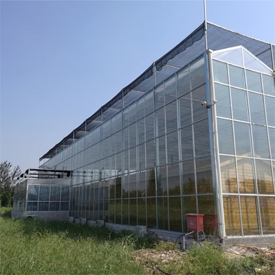 Coltivazione agricola delle piante della multi serra di vetro commerciale della portata