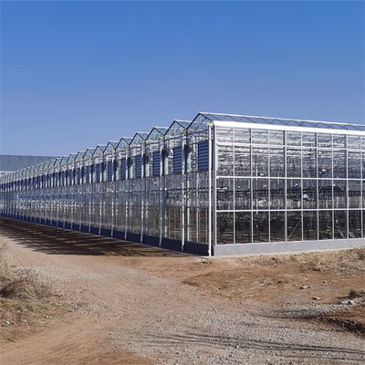 Coltivazione agricola delle piante della multi serra di vetro commerciale della portata