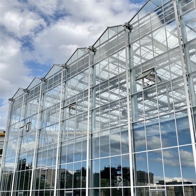 Il vetro di piatto di Duble della serra della Multi-portata ha galvanizzato il verticale olandese della serra di vetro della struttura della serra