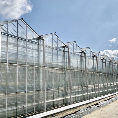 L'agricoltura cinese ha temperato il tipo di vetro di Venlo della serra ha galvanizzato commerciale