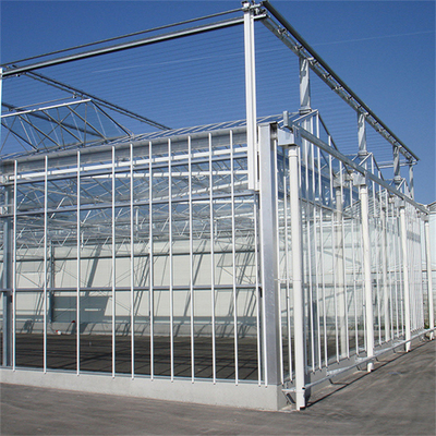 Serra olandese professionale di vetro all'aperto industriale di Multispan di vetro della serra del fiore di agricoltura per la piantatura del fiore