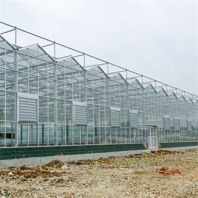Serra di vetro di Venlo della copertura di vetro galvanizzata multi portata della struttura d'acciaio