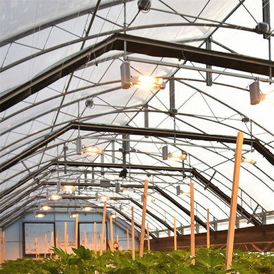 Il progetto chiavi in mano S.U.A. scava una galleria la crescita agricola della pianta della serra automatica di blackout