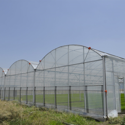 Serra di plastica dell'anti dell'insetto multi tunnel idroponico netto della portata per la verdura