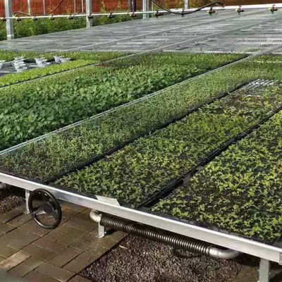 Le verdure declinano e scorrono banchi di Tray Seeding Bed Greenhouse Rolling