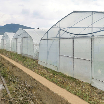 Poli serra del tunnel del sistema della struttura d'acciaio del film plastico idroponico dell'arco per il pomodoro