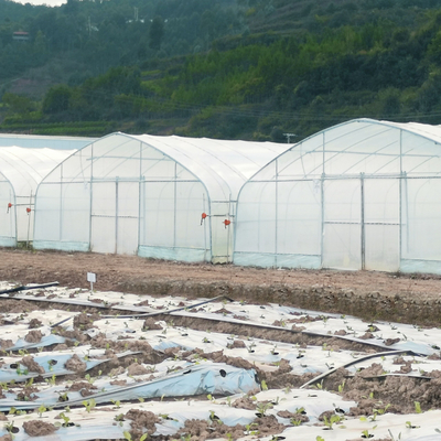 Serra commerciale del tunnel del sistema di raffreddamento di controllo di clima singola per l'agricoltura di agricoltura