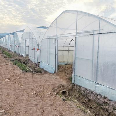 Serra commerciale del tunnel del sistema di raffreddamento di controllo di clima singola per l'agricoltura di agricoltura