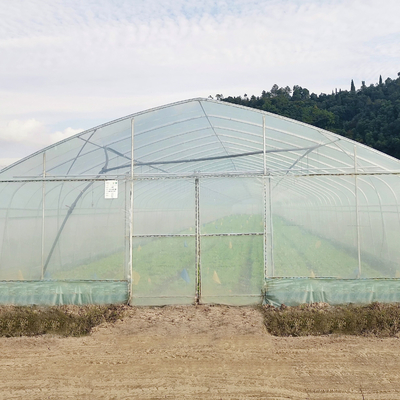 Poli serra del tunnel del sistema della struttura d'acciaio del film plastico idroponico dell'arco per il pomodoro