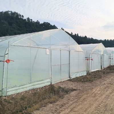 Serre di plastica protette UV a un solo strato del polietilene del poli tunnel per agricoltura