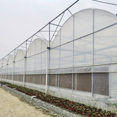 Agricoltura bassa crescente idroponica della serra della serra dei sistemi serra di plastica