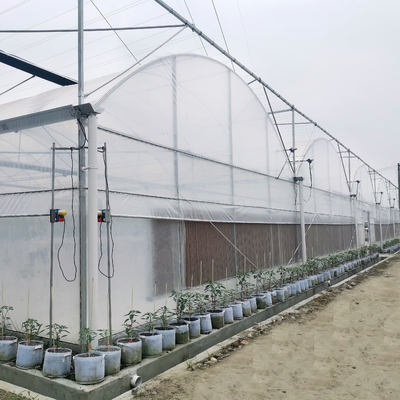I progetti chiavi in mano hanno installato le serre agricole del film plastico della Multi-portata idroponica commerciale della serra
