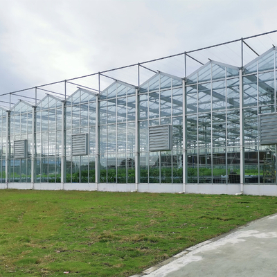Le serre agricole Venlo della Multi-portata hanno temperato la serra di vetro con il sistema crescente idroponico