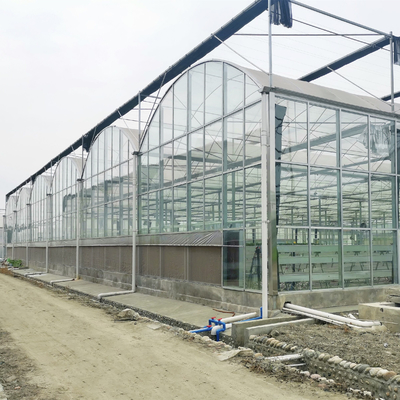 Coltura idroponica automatica portata di vetro della serra di Venlo temperata tunnel rotondo della multi
