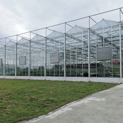 Serra di vetro di inverno di Venlo dei pezzi di ricambio della serra del sistema di riscaldamento Serra Di Vetro Multi-Span Greenhouse Venlo