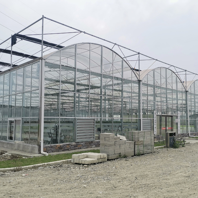 Coltura idroponica automatica portata di vetro della serra di Venlo temperata tunnel rotondo della multi